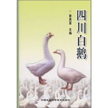四川白鹅