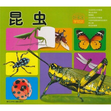 好宝宝学知识：昆虫