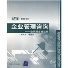B&E管理学系列：企业管理咨询（全周期卓越运作）