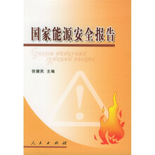 国家能源安全报告