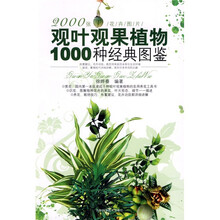 观叶观果植物1000种经典图鉴