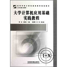 大学计算机应用基础实践教程
