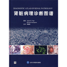 肾脏病理诊断图谱