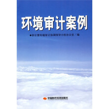 环境审计案例