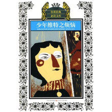 少年维特之烦恼