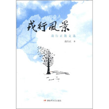 凌行正散文选：戎行风景