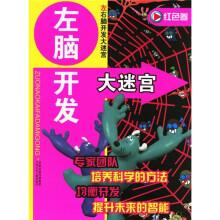 左脑开发大迷宫(红色卷)