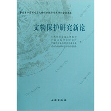 文物保护研究新论(全国第十届考古与文物保护化学学术研讨会论文集)