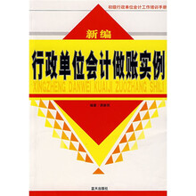 新编行政单位会计做账实例