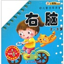 幼儿智力早开发：右脑（2-3岁）