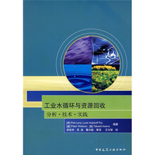 工业水循环与资源回收：分析、技术、实践
