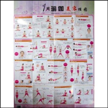 1周瑜珈美容挂图
