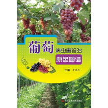 葡萄病虫害诊治原色图谱