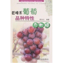 巨峰系葡萄品种特性与栽培