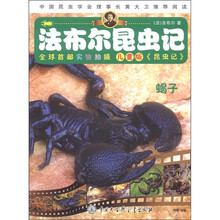 法布尔昆虫记：蝎子（儿童版）