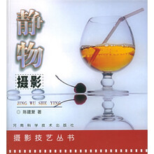 摄影技艺丛书:静物摄影