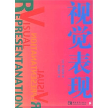 视觉表现