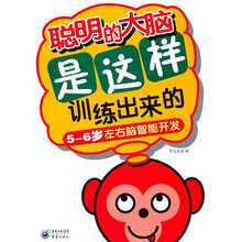 聪明的大脑是这样训练出来的（5-6岁左右脑智能开发）