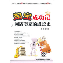 淘宝成功记:网店卖家的成长史