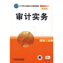 21世纪高职高专规划教材（财经类）：审计实务