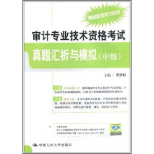 审计专业技术资格考试真题汇析与模拟（中级）