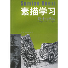 素描学习:设计与结构