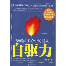 自驱力：唤醒员工心中的巨人
