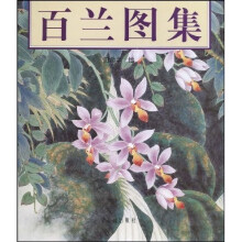 书籍图片