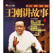 王刚讲故事3