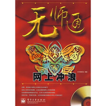 无师通：网上冲浪（附光盘1张）