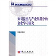 知识溢出与产业集群中的企业学习研究