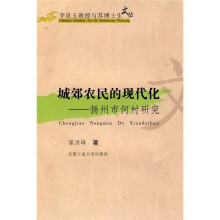 城郊农民的现代化:扬州市何村研究