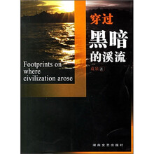 穿过黑暗的溪流