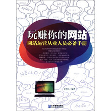 玩赚你的网站：网站运营从业人员必备手册