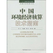 中国环境经济核算技术指南