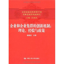 企业和企业集群的创新机制：理论、经验与政策