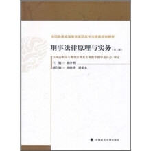 刑事法律原理与实务(第2版)