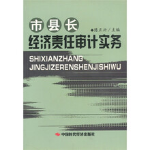 市县长经济责任审计实务