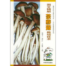 图文精解茶薪菇栽培技术