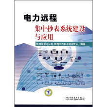 电力远程集中抄表系统建设与应用