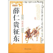 薛仁贵征东（珍藏版）