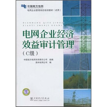 电网企业管理岗位培训教材(试用):电网企业经济效益审计管理(C级)