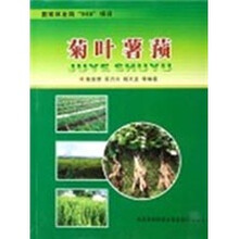 菊叶薯蓣