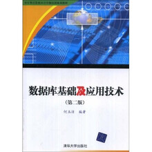 审计署计算机审计中级培训系列教材:数据库基础及应用技术