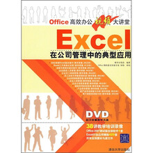 Excel在公司管理中的典型应用（附DVD教学光盘1张）