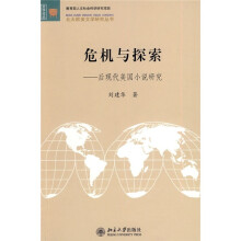 危机与探索：后现代美国小说研究