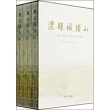 澧县城头山：新石器时代遗址发掘报告（套装上中下卷）