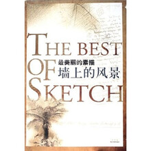 最美丽的素描：墙上的风景