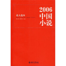 2006中国小说