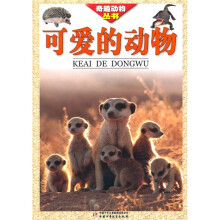 可爱的动物